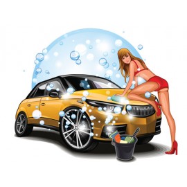 Car Wash & Maintenance