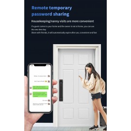 NeweKey Tuya App Face Recognition Home Door Smart Lock with HD Video Intercom