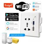 Tuya Smart Life Wifi Socket Wall Outlet With Usb Fast Charging