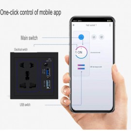 Tuya Smart Life Wifi Socket Wall Outlet With Usb Fast Charging